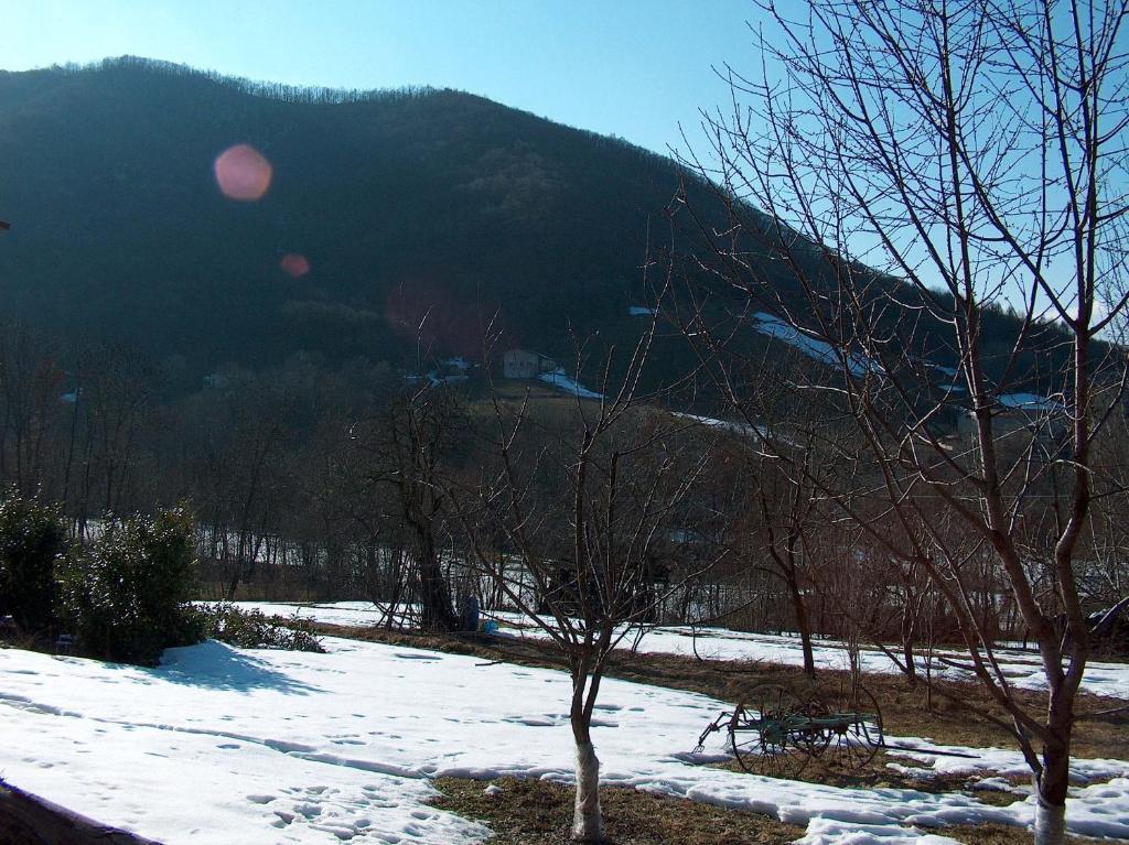 Agriturismo La Meridiana Frabosa Sottana Kültér fotó