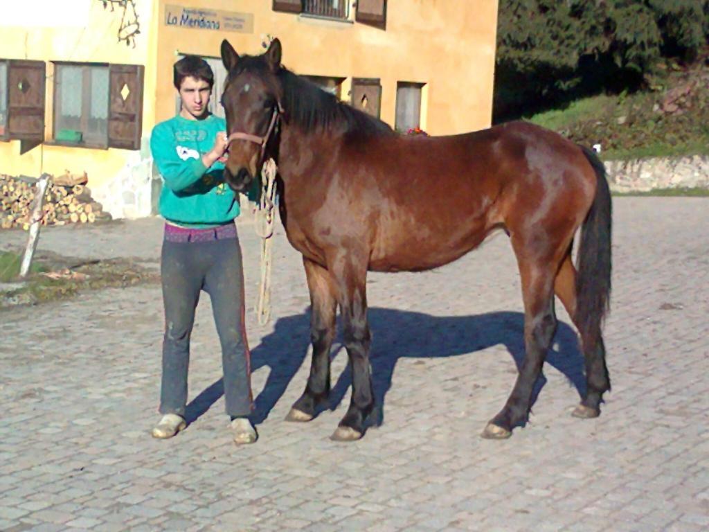 Agriturismo La Meridiana Frabosa Sottana Kültér fotó